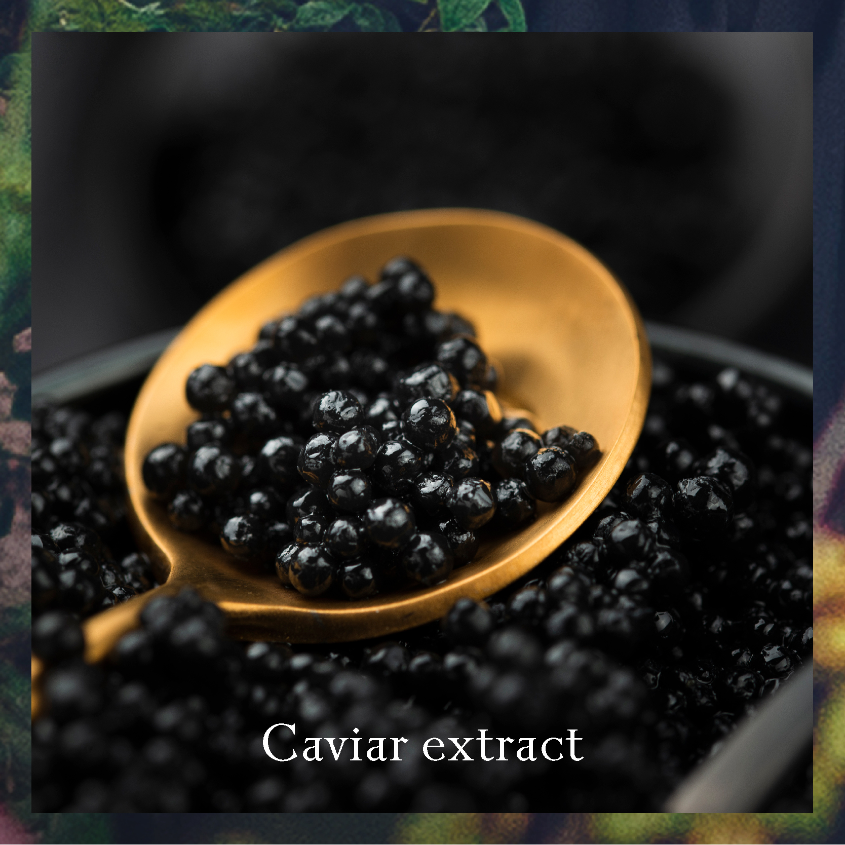 Caviar Extract อุดมด้วย Omega-3 วิตามิน A และ D ช่วยดูแลฟื้นฟูบำรุงสภาพผิวที่อ่อนล้า ร่วงโรย มีริ้วรอยก่อนวัย ปรนนิบัติผิวให้ชุ่มชื่น แลดูเปล่งปลั่ง นุ่มนวล