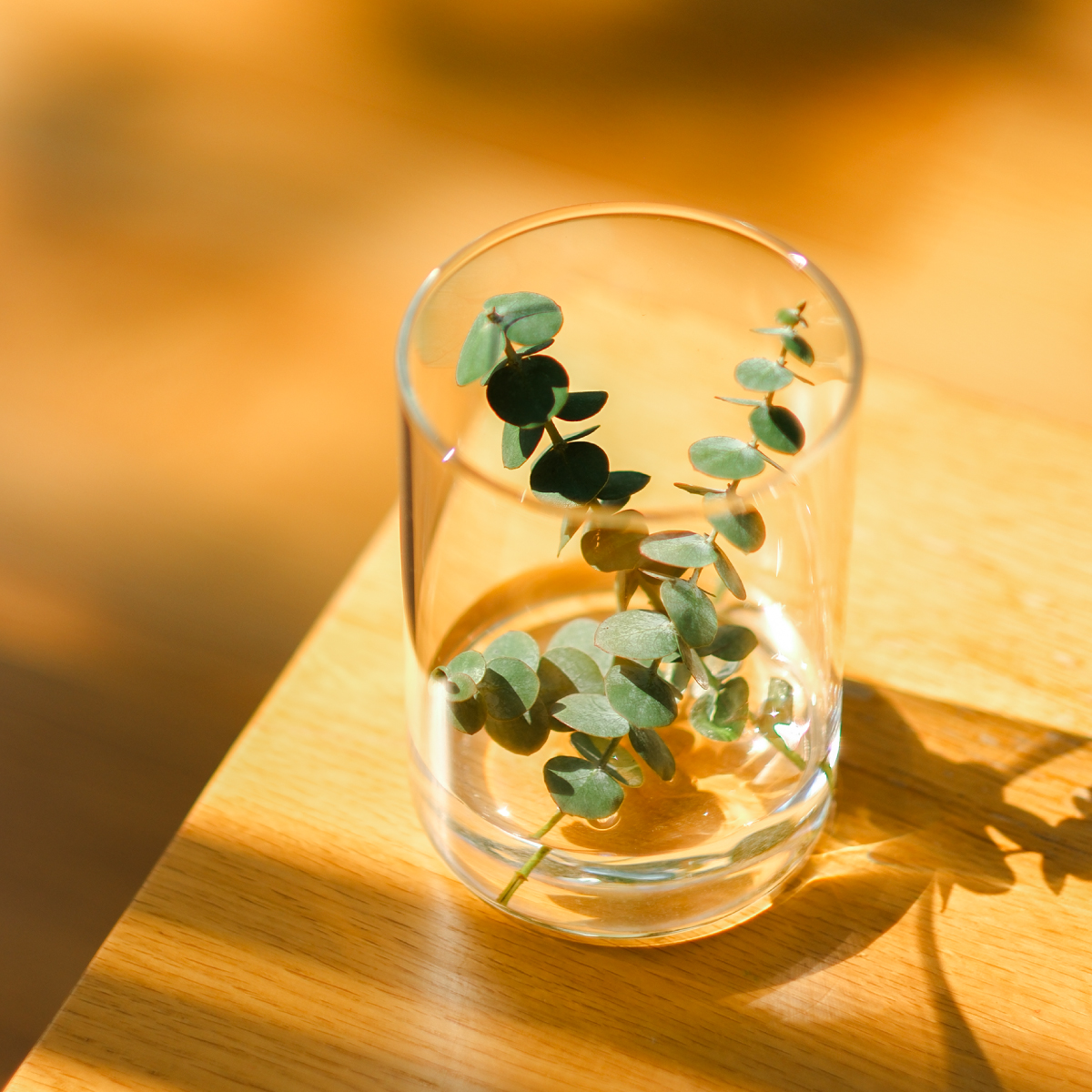 ครีมบำรุงมือ ที่มีกลิ่นหอมอ่อนโยนและสดชื่น จากส่วนผสมของน้ำมันหอมระเหยยูคาลิปตัส และน้ำมันหอมระเหยทีทรีออยล์ ครีมบำรุงมือ ที่มีกลิ่นหอมอ่อนโยนและสดชื่น จากส่วนผสมของน้ำมันหอมระเหยยูคาลิปตัส และน้ำมันหอมระเหยทีทรีออยล์